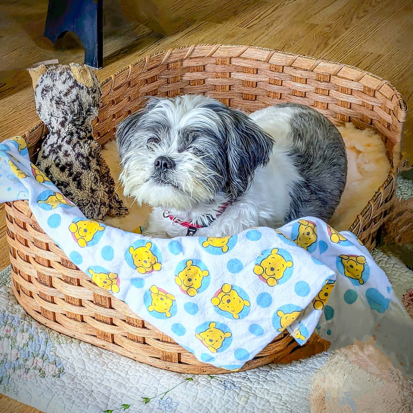 Wicker Pet Beds