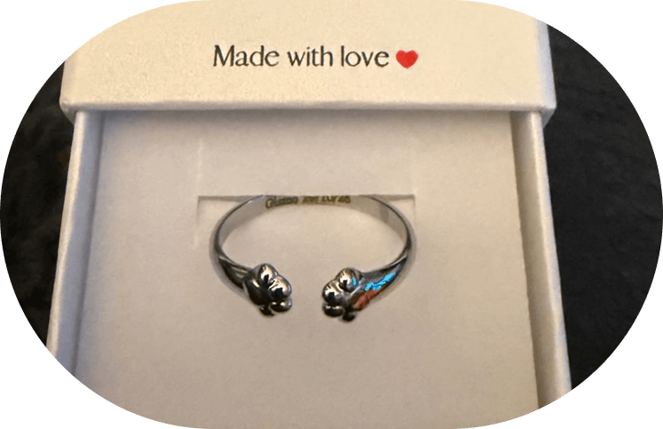 Feather From An Angel Ring