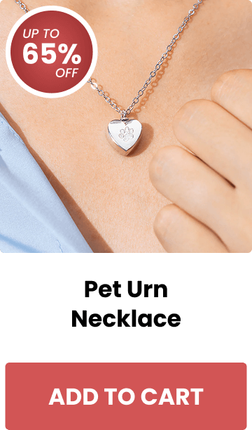 Pet Urn Necklace
