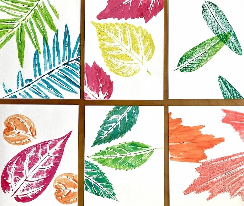 Botanical Art Process
