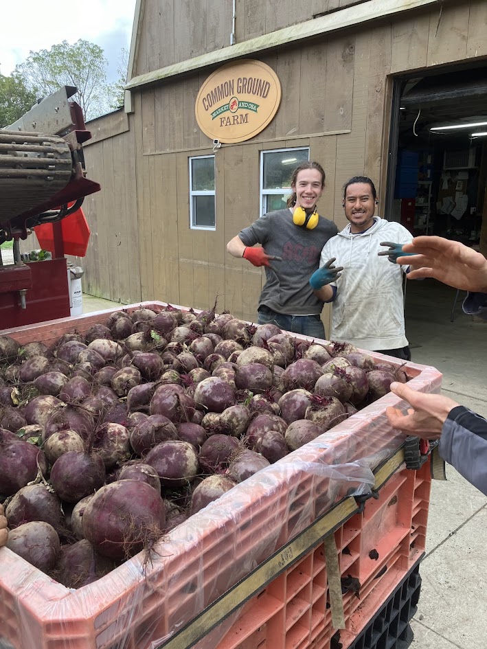 First bulk harvests are in the books