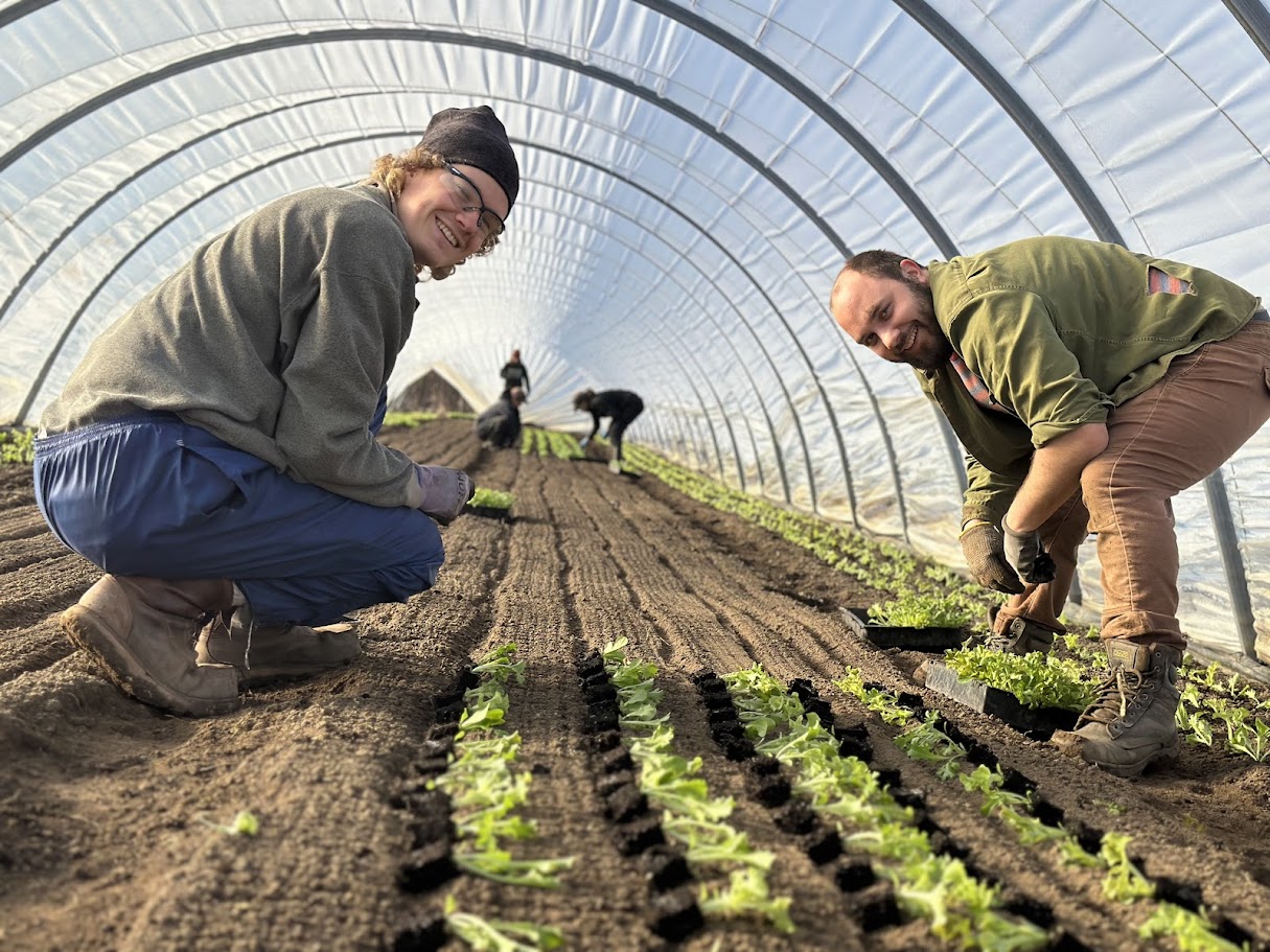 New Crops are on their Way