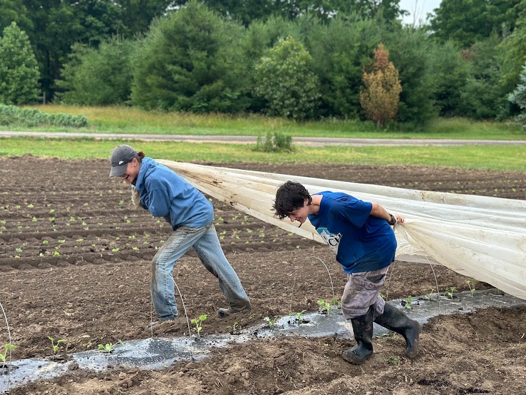 Zucchini and New Potatoes!
