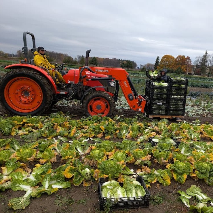 First Big Freeze of the Year