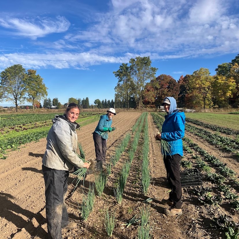 Making Use of these Cold Mornings