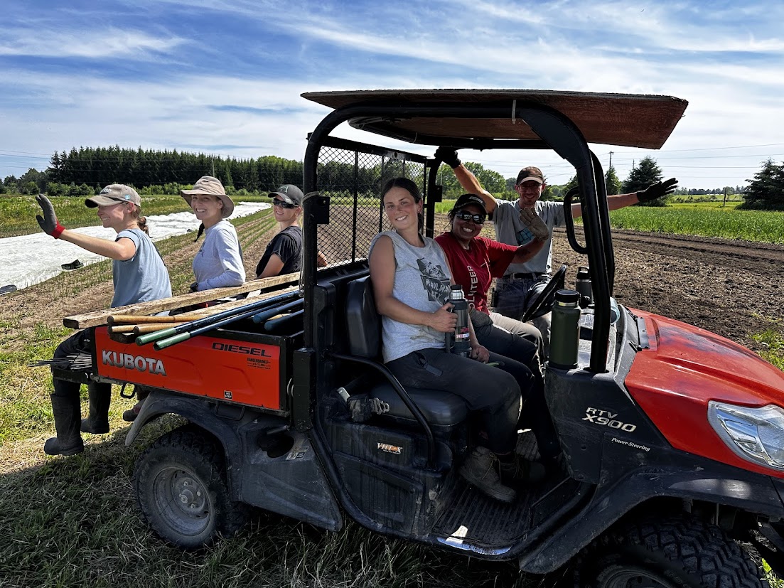 Summer crops and harvest logistics