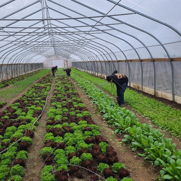 It's Frozen Outside, but There's Still Lots to Eat!