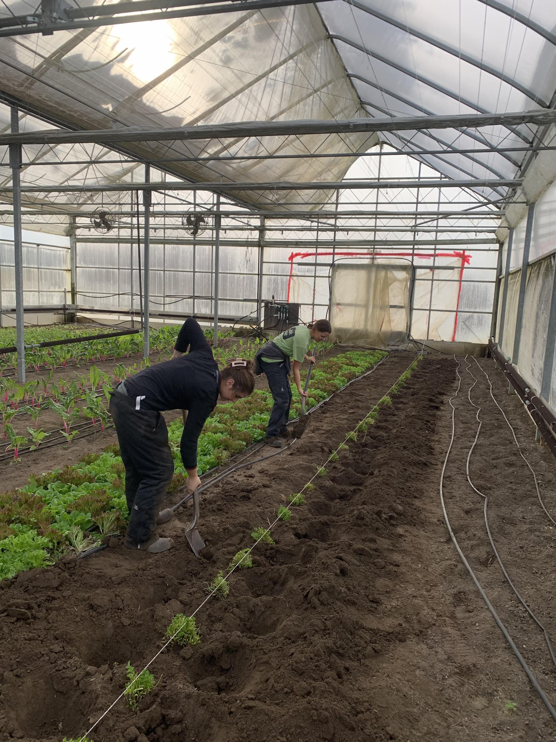 The Farmer’s Tour AND