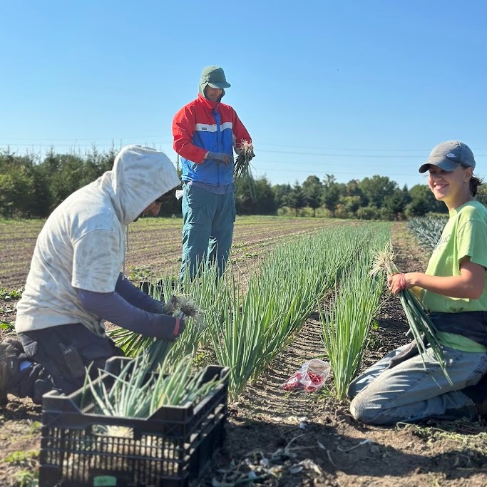 Planting for Late Fall