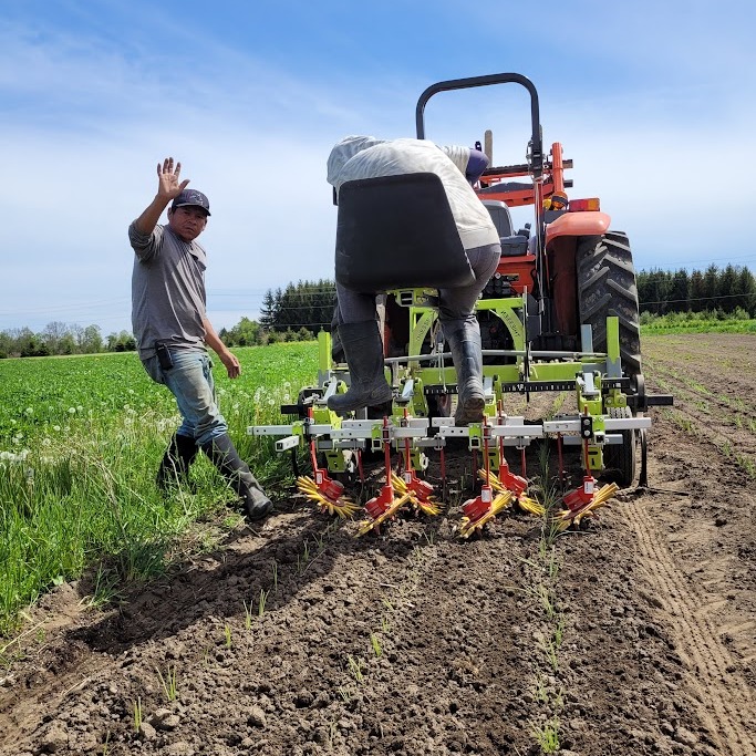 Trying out new weeding tools