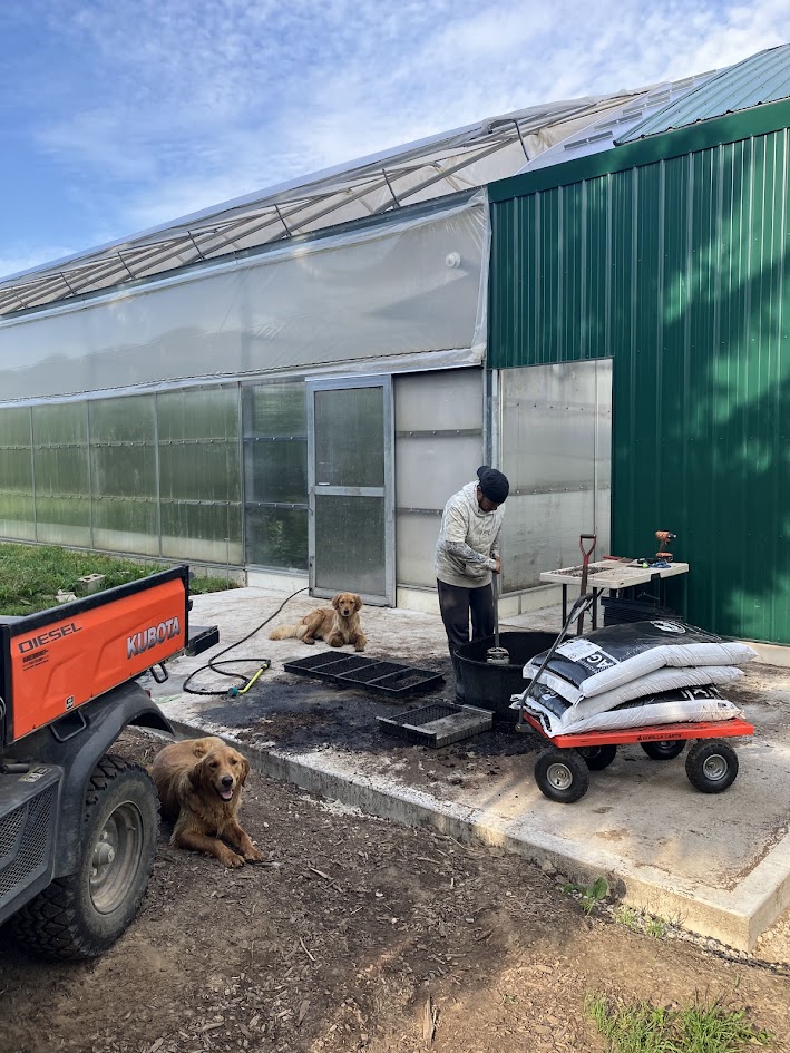 Experiments with our new seeding equipment