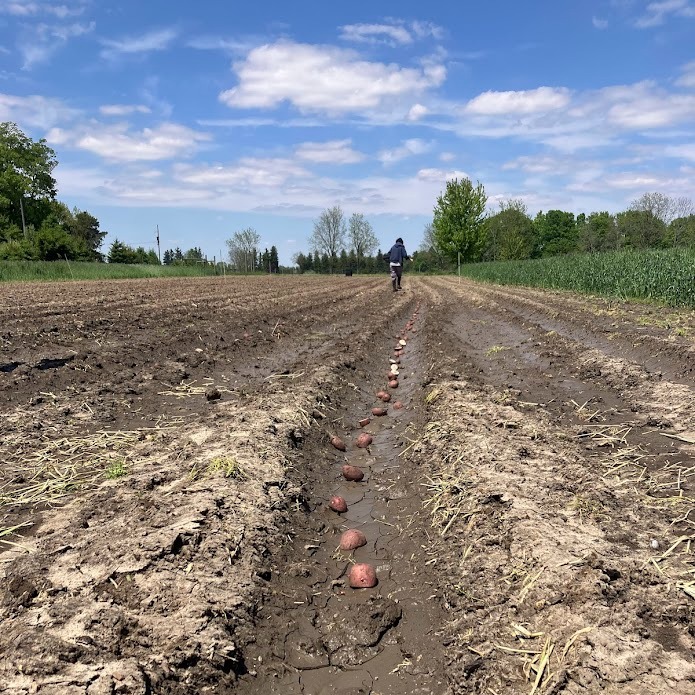 We had 55mm of Rain Last Week!