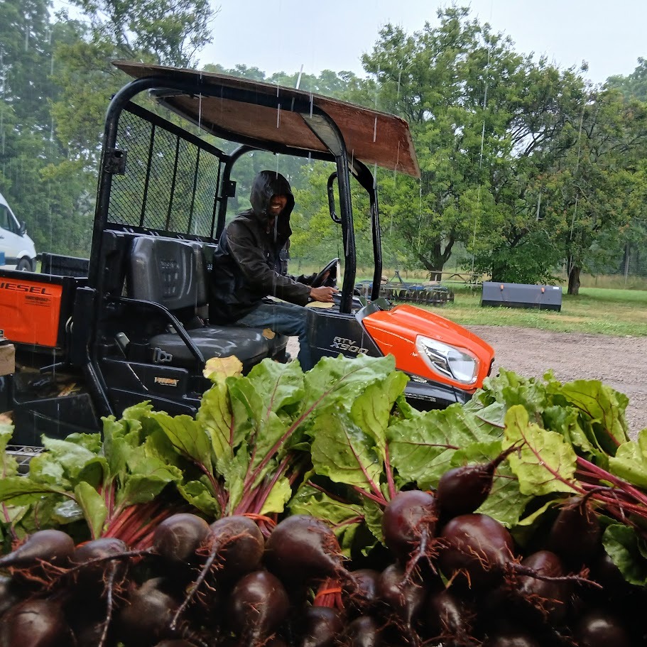 Summer Harvests and Winter Planting