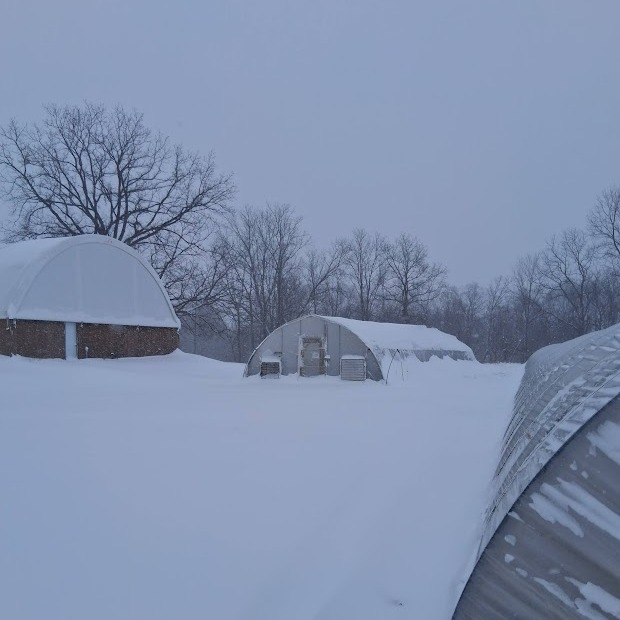 Winter Seeding and New(ish) Crops