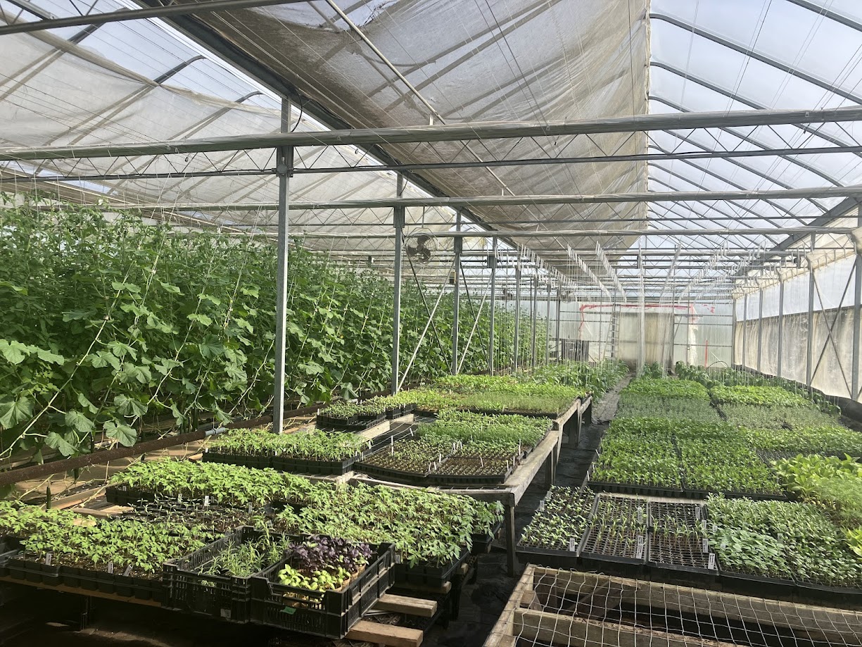 Open House and Plant Sale this Saturday!