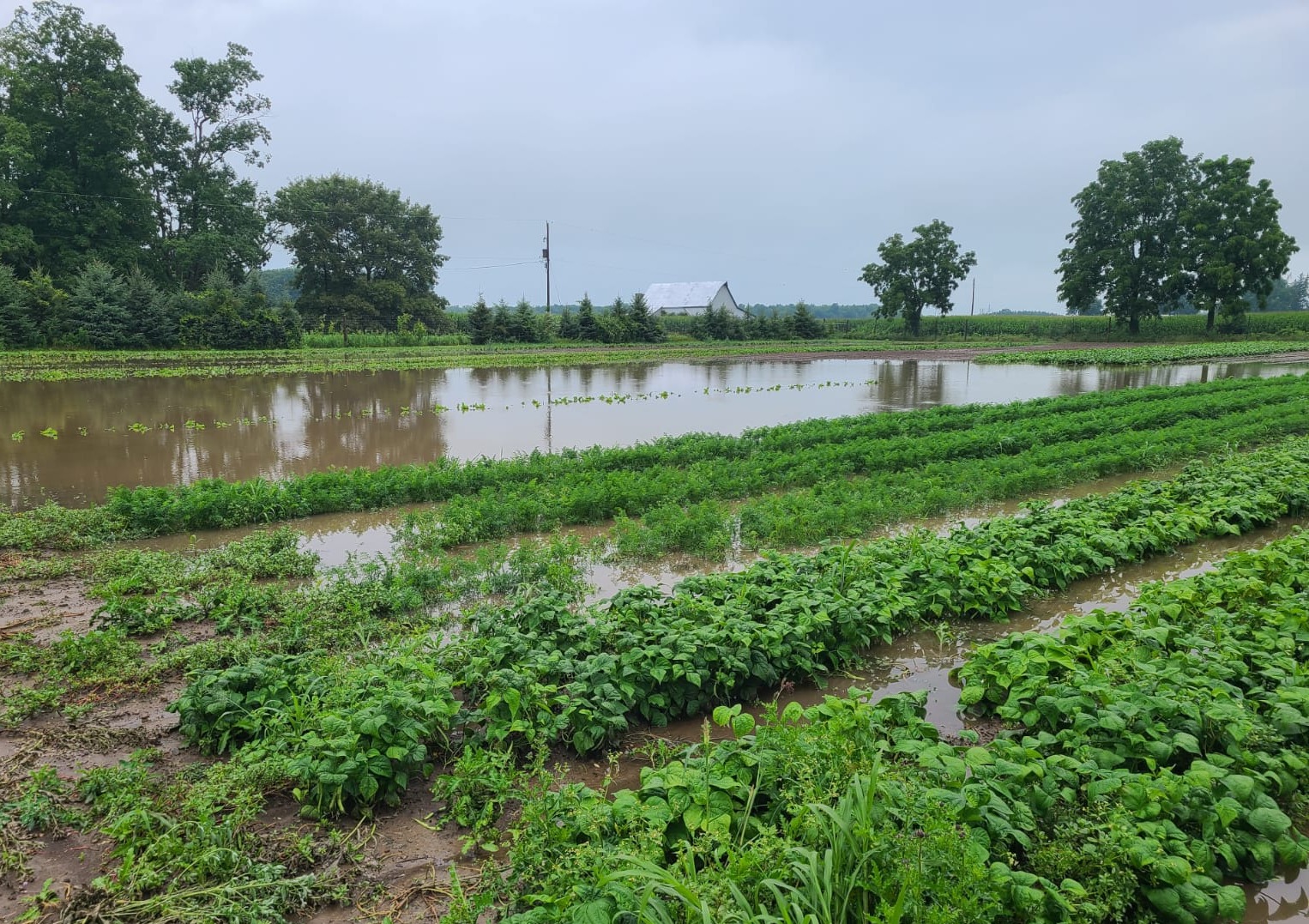 LOTS of Rain Last Week