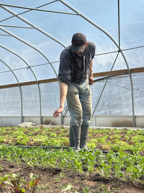 Our First Field Planting of the Season