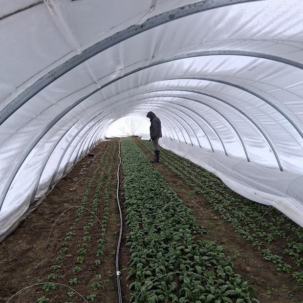 Winter Seeding and New(ish) Crops