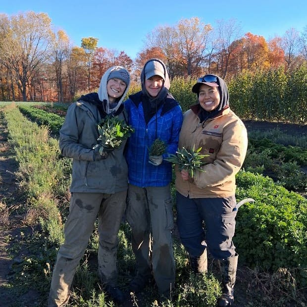 Last Planting of the Year