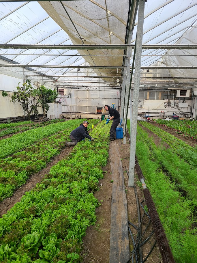 The last week of our 2024 subscriptions!