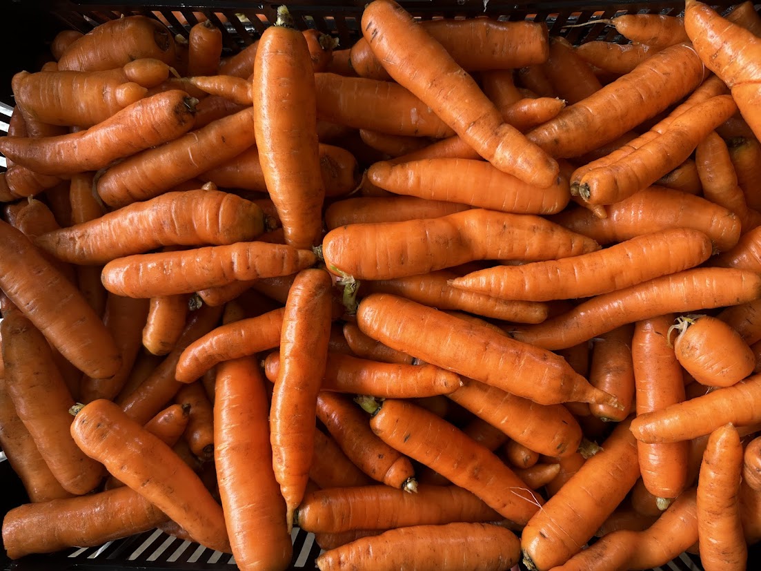 We made it through the snowstorm