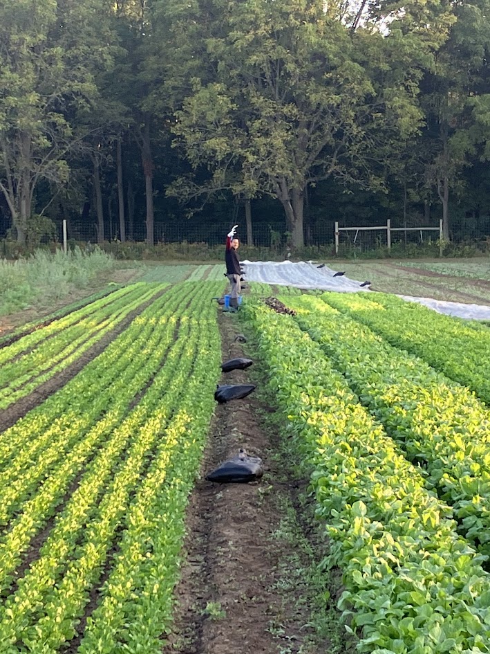 September is the best time to eat!