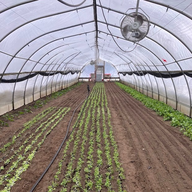 Sign-up is Open for Our 2026 Subscription!