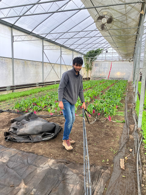 NOTE: Winter 2024 shares are bi-weekly and this week we are delivering