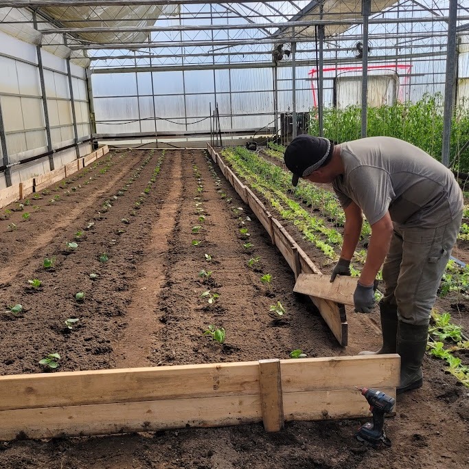 More Successions Going to the Field