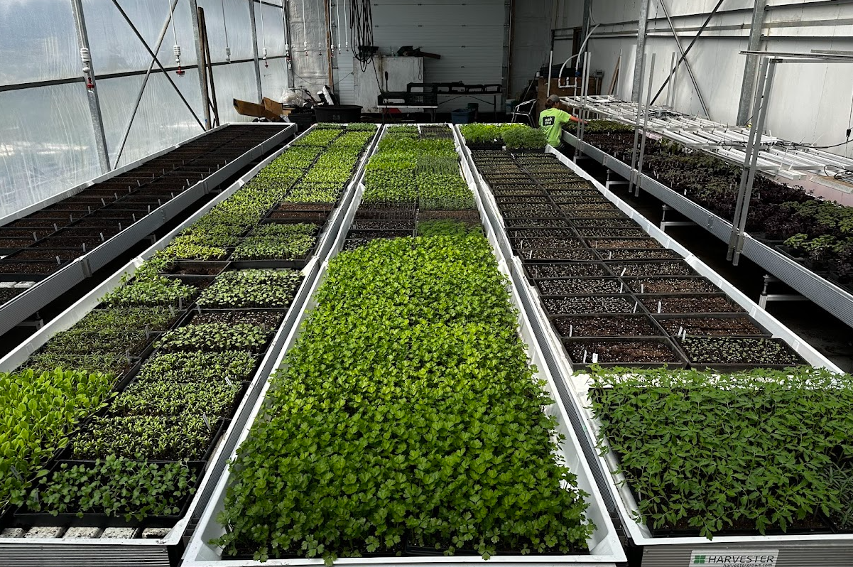 Plant Sales and Open House this Weekend!