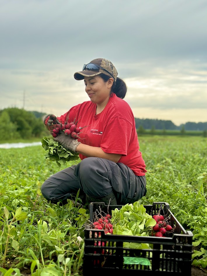 Where are all the tomatoes?