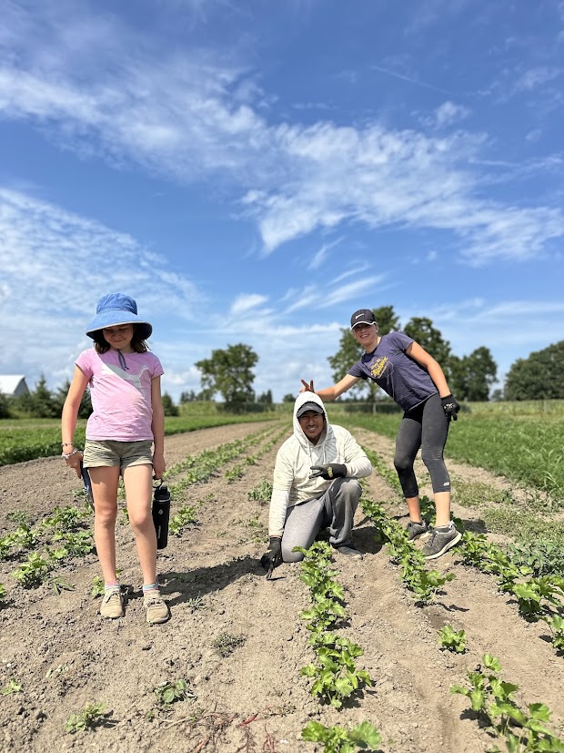 Thank you Summer Crew!