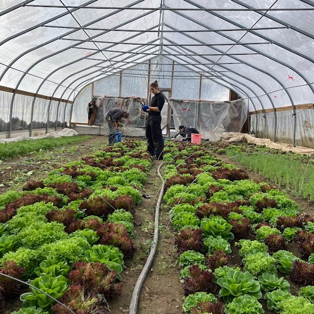 Trials and Successes of Winter Farming