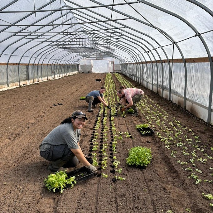 More Steps Toward Springtime