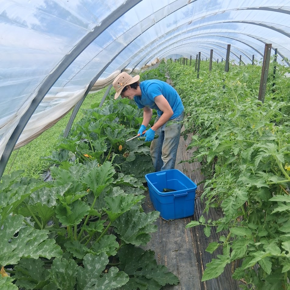 Working Through the Heat!