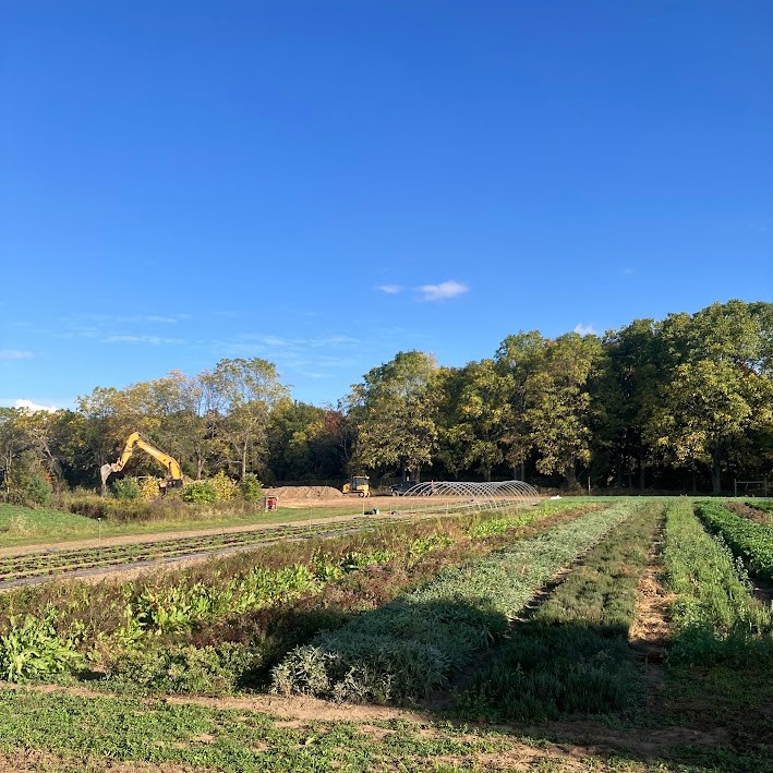 Storage Harvests and Expanding the Pond
