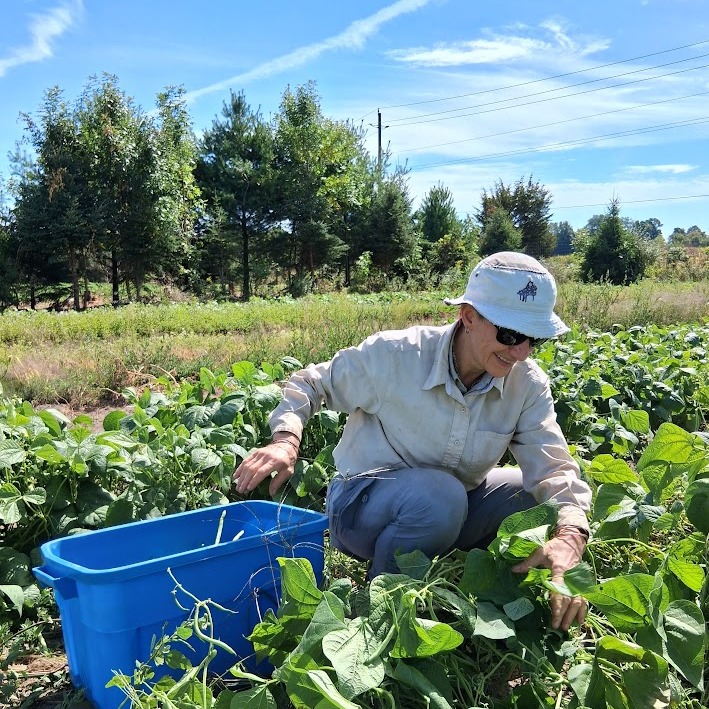 This Might be our Driest Summer Yet