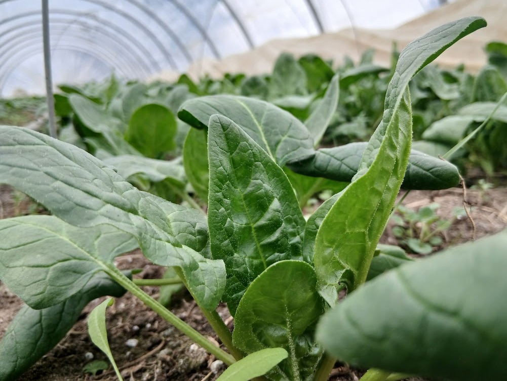 March-ing into Planting Season!