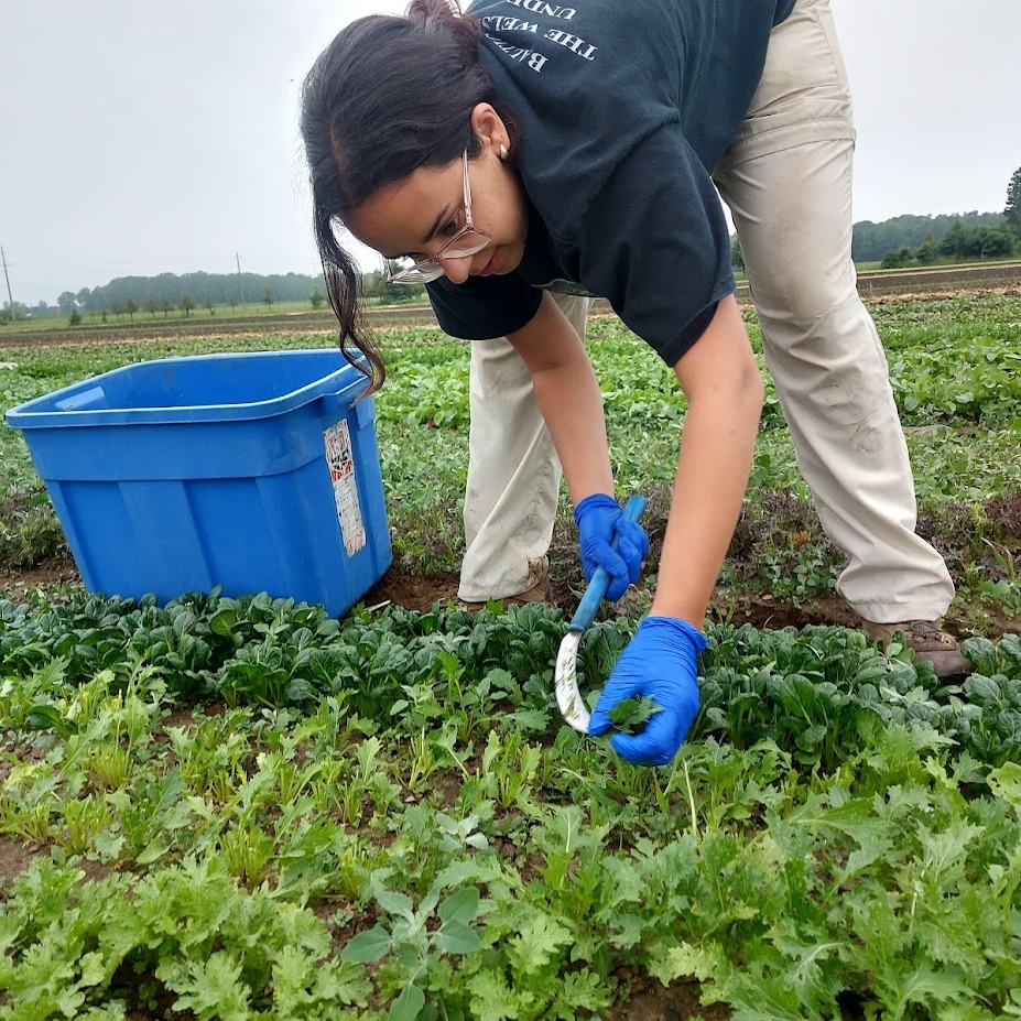 Spring Rain Giving Our Crops a Much-Needed Boost!