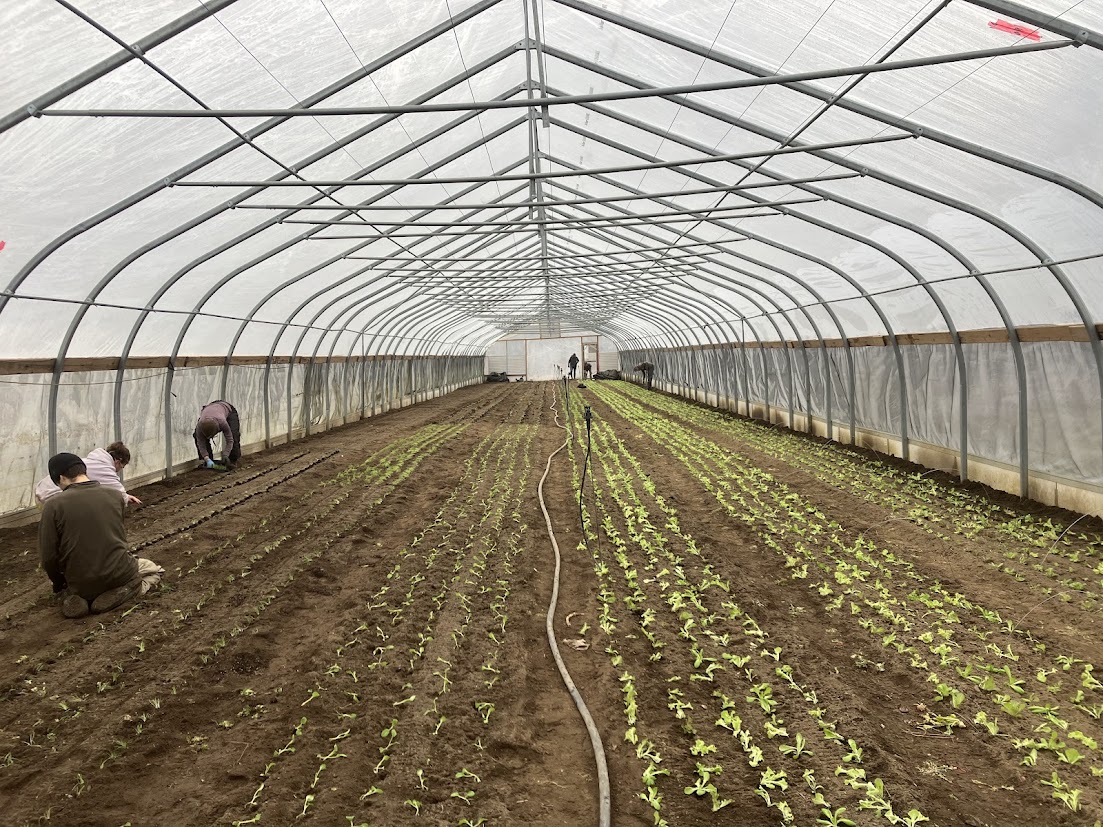 The First 2026 Planting Milestones