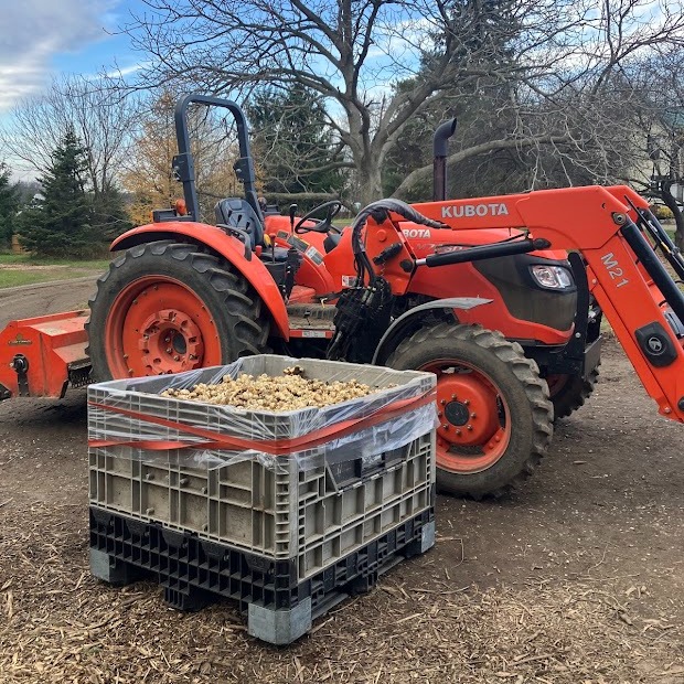 Preparing Ground for Next Season
