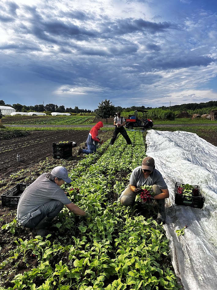 Late-summer and lots to do!