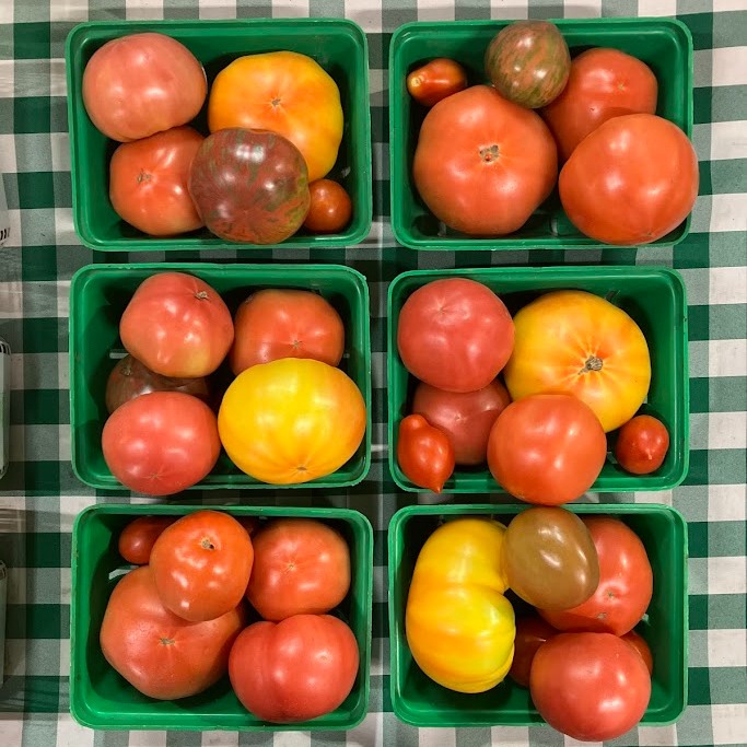 Solving our Tomato Mysteries