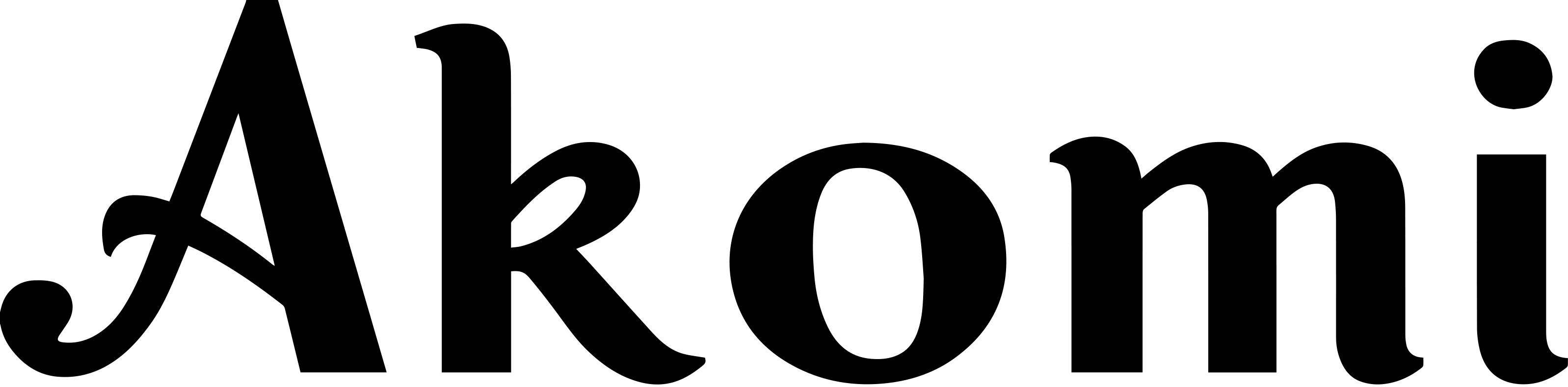 Akomi x Vandy the Pink Logo