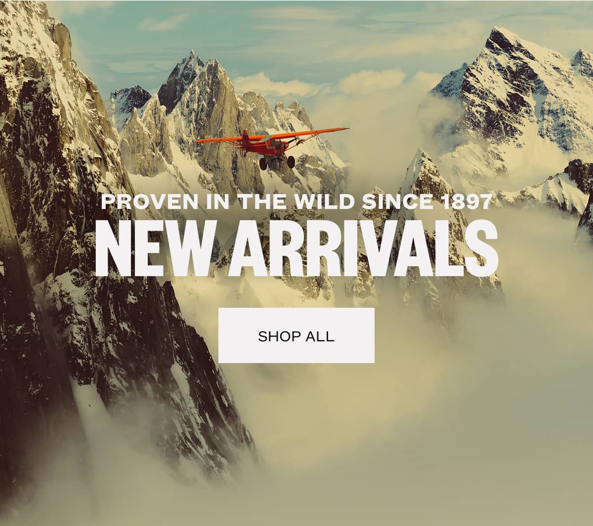 All New Arrivals