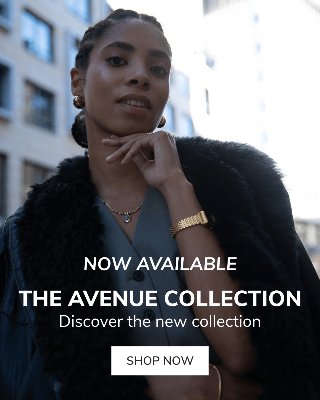 NOW AVAILABLE The Avenue Collection Paul Valentine