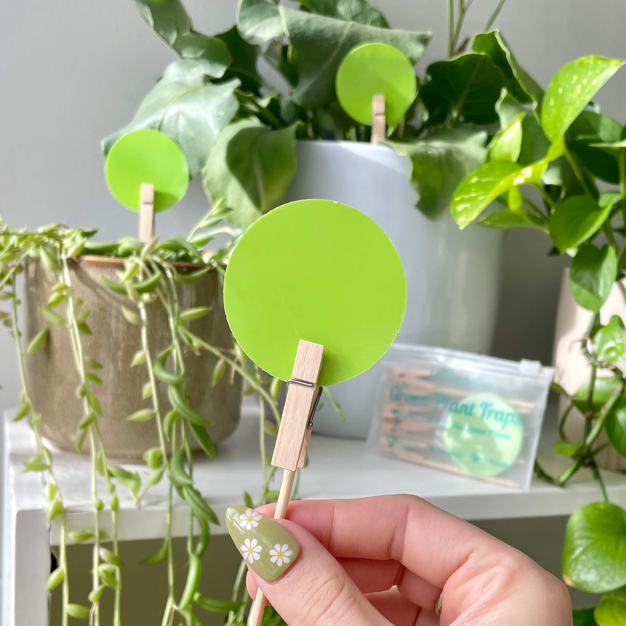 A uBloomd green trap covered in Gnats with a golden VIP ballon bounding and pulsing in front.