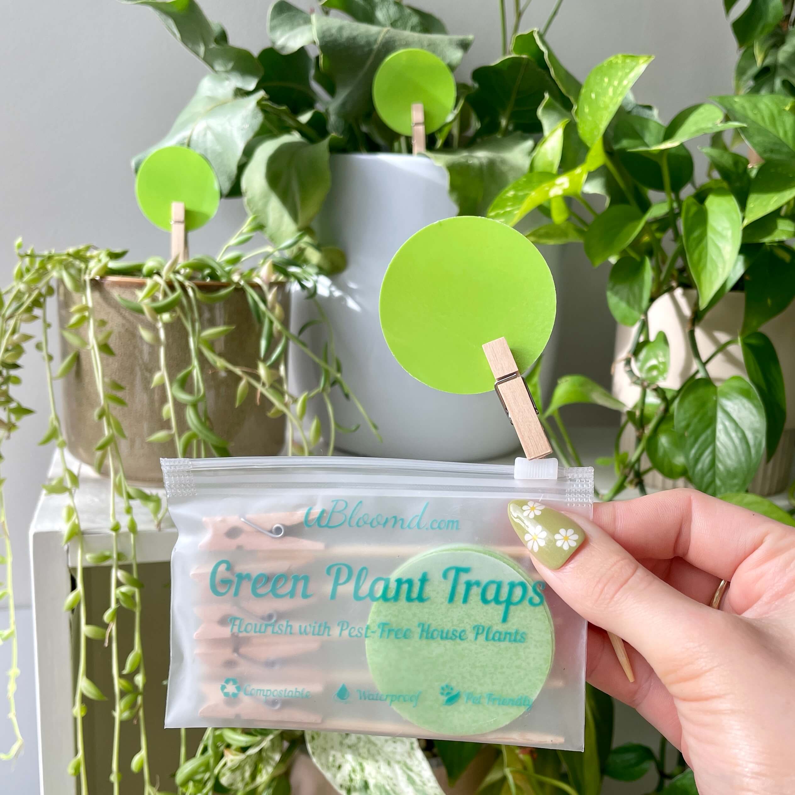 A uBloomd green trap covered in Gnats with a golden VIP ballon bounding and pulsing in front.