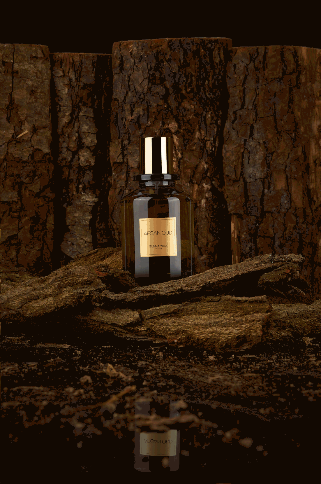 The Oud Edit for Autumn 🍂 Sunnamusk