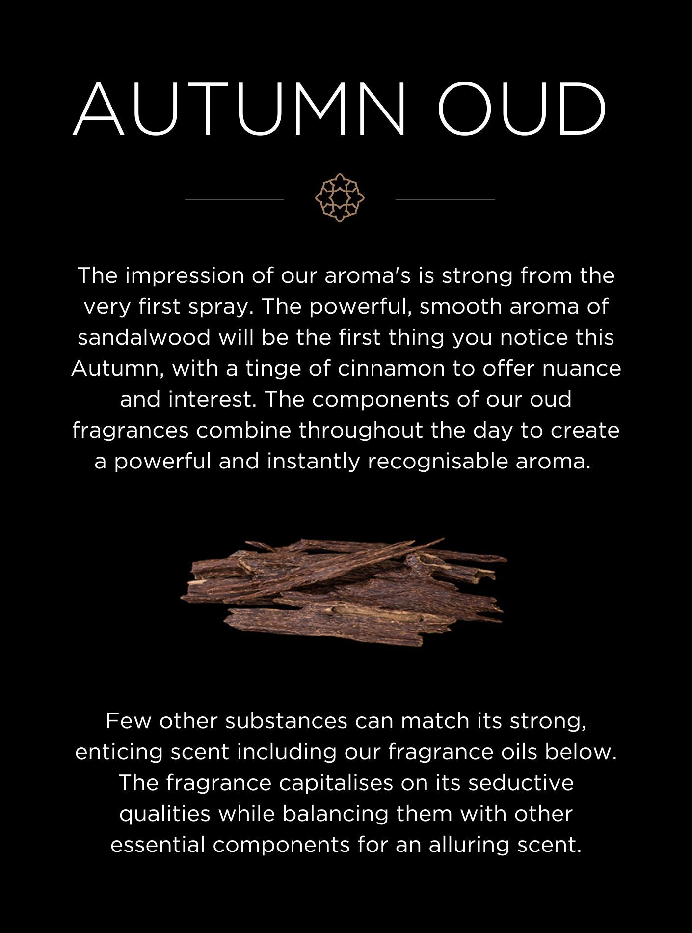 The Oud Edit for Autumn 🍂 Sunnamusk